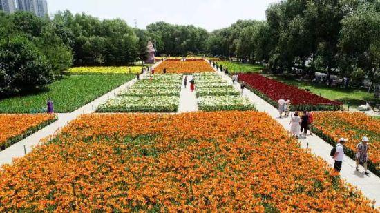 沈阳市和平区百合花展在沈水湾公园盛大开幕