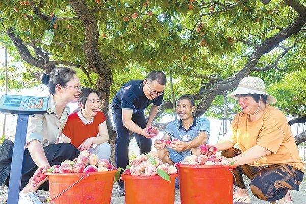 深度关注 | 纪检监察机关统筹力量强化监督 确保惠农资金用足用好用到位