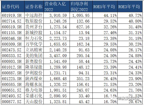 你知道3万亿美元市值的苹果ROE是多少吗？