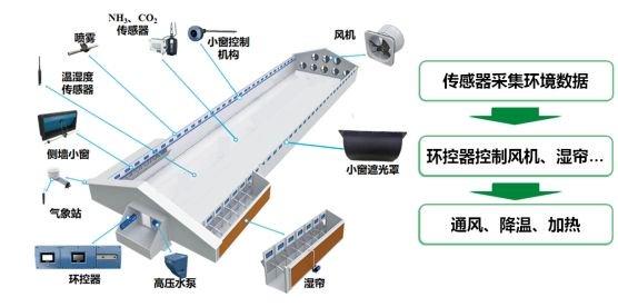 蛋鸡立体养殖技术指导意见