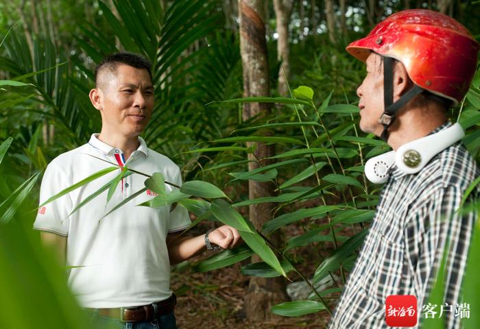 2023年度“最美屯昌人”候选人｜王芳乾：驻村第一书记期满返岗 村民们都说“舍不得”