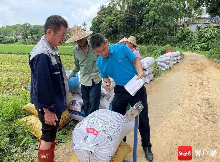 2023年度“最美屯昌人”候选人｜王芳乾：驻村第一书记期满返岗 村民们都说“舍不得”