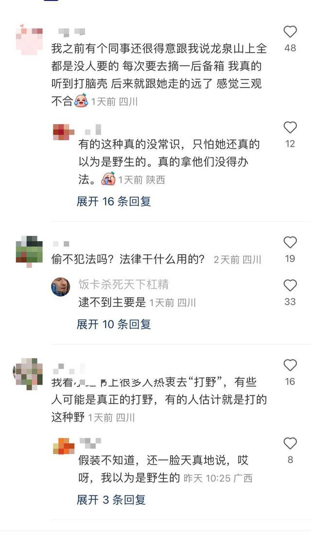 封面深镜｜“特种兵”夜爬龙泉山被投诉摘农户果子 当地果农打出粗口标语