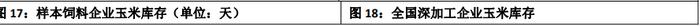 小麦价格对玉米的影响趋弱 玉米价格延续反弹态势