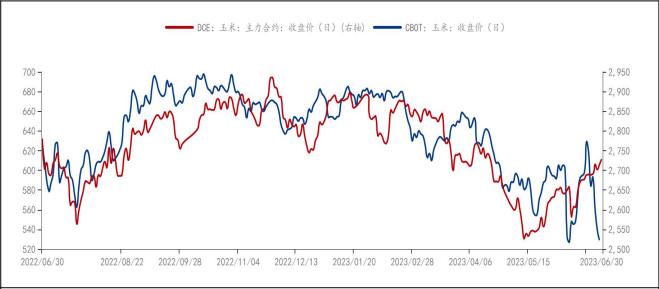 小麦价格对玉米的影响趋弱 玉米价格延续反弹态势