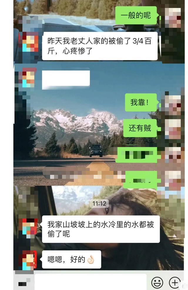 封面深镜｜“特种兵”夜爬龙泉山被投诉摘农户果子 当地果农打出粗口标语