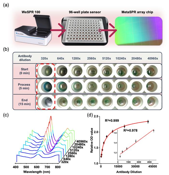 Advanced Science | 刘钢教授团队基于MetaSPR芯片开发肿瘤标志物快速早筛新平台