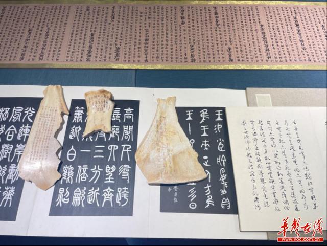 罗卫国甲骨契刻文字及书法作品展在湖南日报美术馆开幕