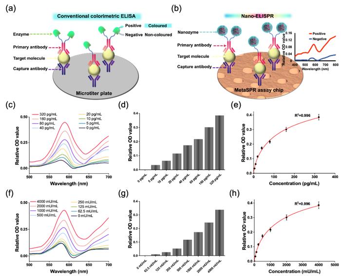 Advanced Science | 刘钢教授团队基于MetaSPR芯片开发肿瘤标志物快速早筛新平台