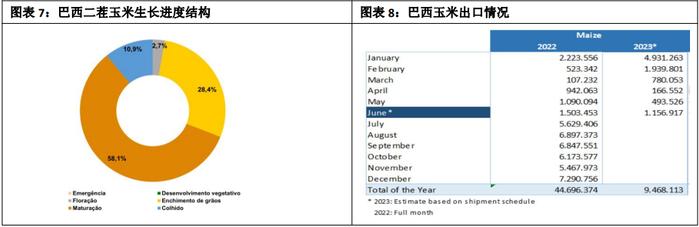 小麦价格对玉米的影响趋弱 玉米价格延续反弹态势