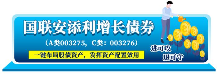 言值丨国联安固定收益部总经理陆欣，带你揭开下半年债券投资面纱