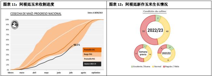 小麦价格对玉米的影响趋弱 玉米价格延续反弹态势