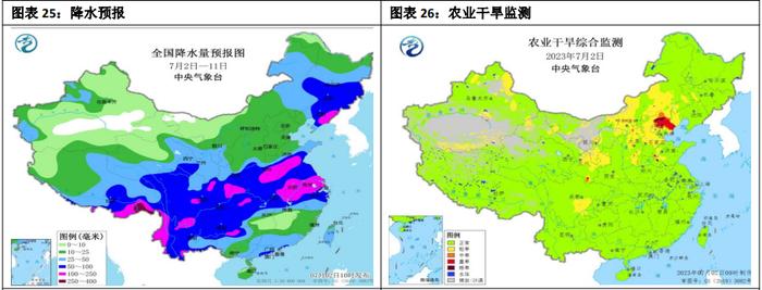 小麦价格对玉米的影响趋弱 玉米价格延续反弹态势