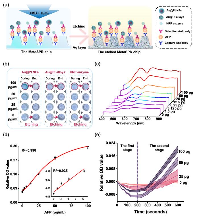 Advanced Science | 刘钢教授团队基于MetaSPR芯片开发肿瘤标志物快速早筛新平台