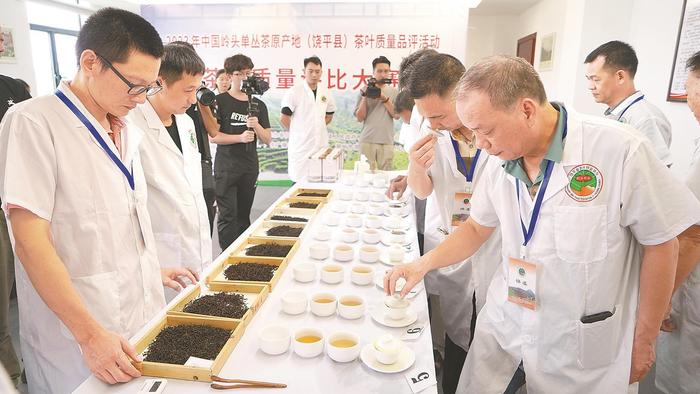 潮州饶平举办茶叶质量品评活动 岭头单丛“茶王”诞生
