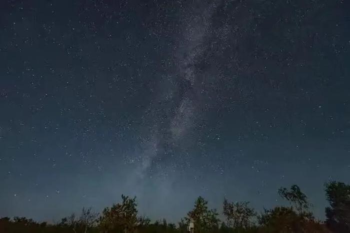 我的驻训故事 | 谢谢你，夏枯草