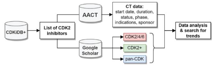 临床CDK2抑制剂：选择性和有效性的趋势 | 「药时代靶点说」系列文章