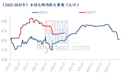 Mysteel半年报：2023下半年国内白羽肉鸭市场行情展望