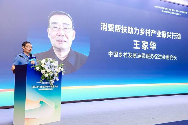 中国乡村发展志愿服务促进会副会长 王家华