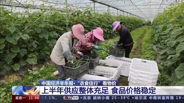 2023进度条过半 “衣食住行”的变化全在这里