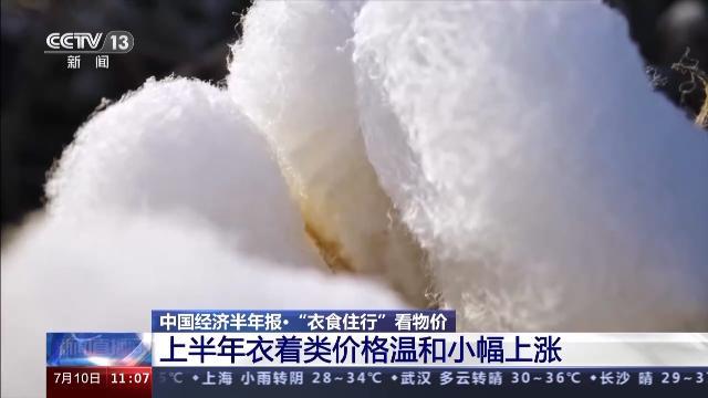 2023进度条过半 “衣食住行”的变化全在这里