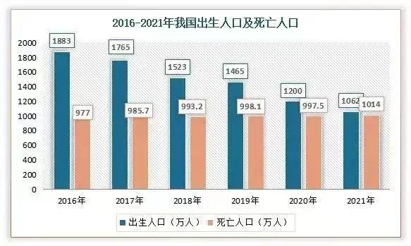 就业率100%，殡葬学的爆火与真实