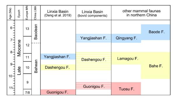 科研人员建立甘肃临夏盆地化石牛科动物生物地层序列