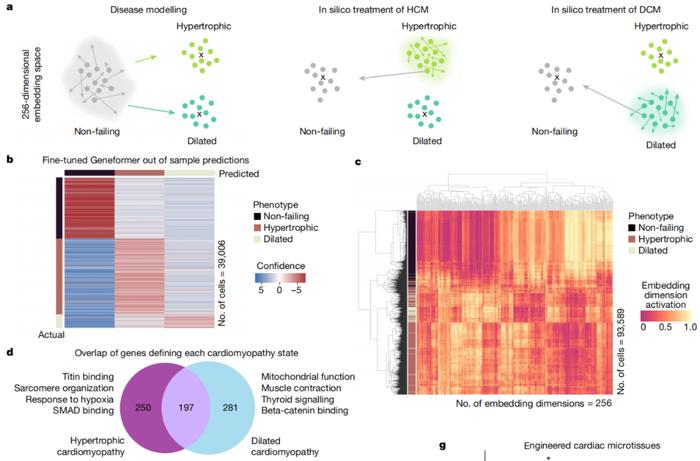 Nature：颠覆基因研究和药物开发，AI绘制基因互作网络，加快疾病治疗靶点发现