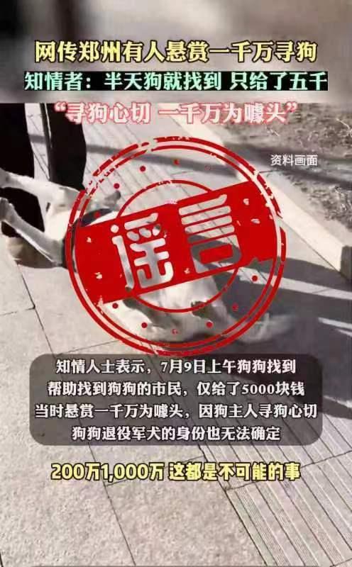 郑州警方通报“千万寻狗”：传媒公司老板编造虚假信息被行拘15日