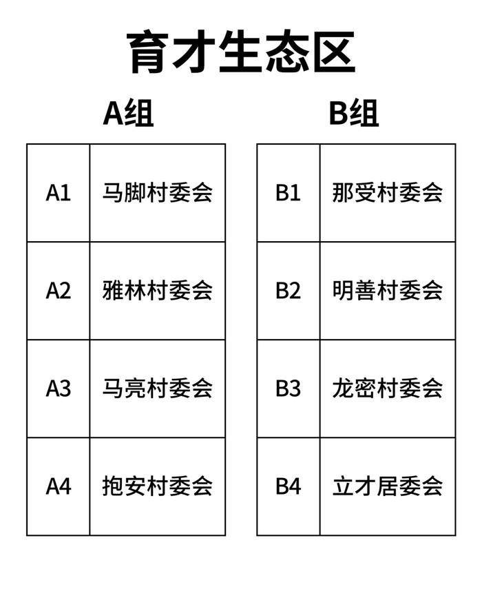 三亚“村BA”今晚开幕！（附赛程表）