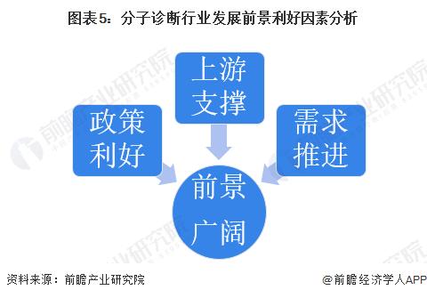 2023年中国分子诊断行业驱动因素分析 三大因素圈出广阔的前景【组图】