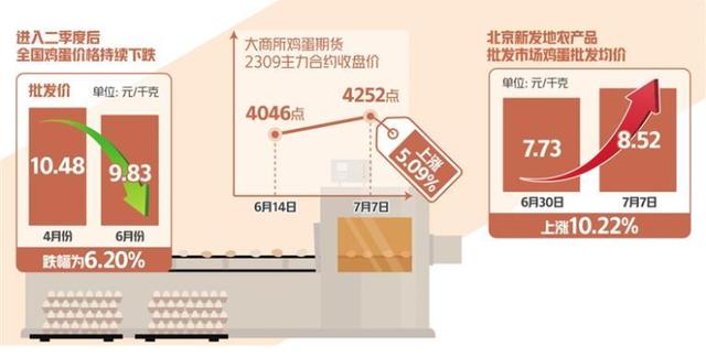 蛋价持续下跌后快速反弹，后市走势会如何？