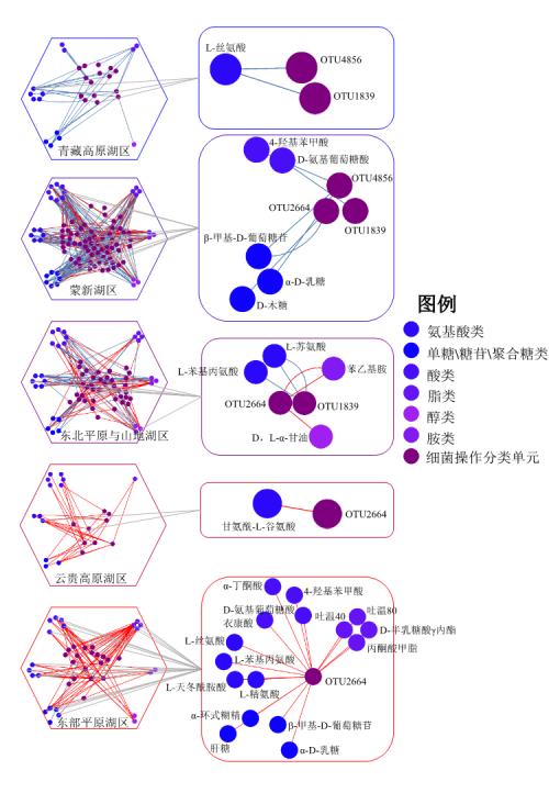 科学家揭示温度调节全国范围内湖泊微生物的碳利用机制