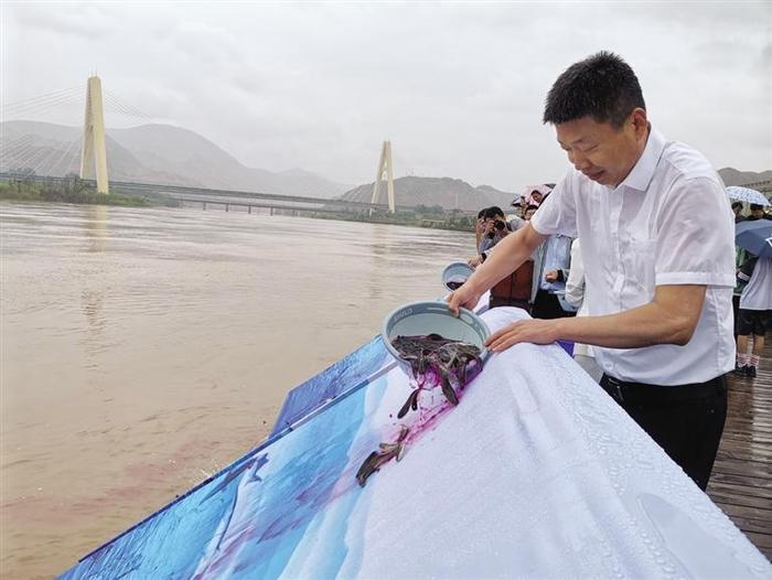 5.4万尾黄河鲶鱼在西固投放