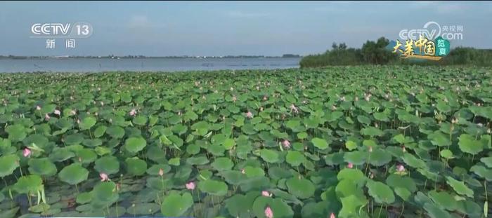 河湖竞秀碧水长流 盛夏美景展新颜