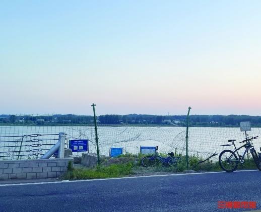 调查｜夏日长沙湘江边，野泳者又多了