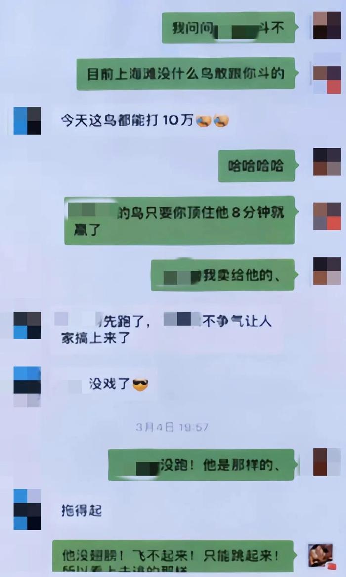 画眉鸟也成牟利工具？茶馆老板组织斗鸟赌博被提公诉