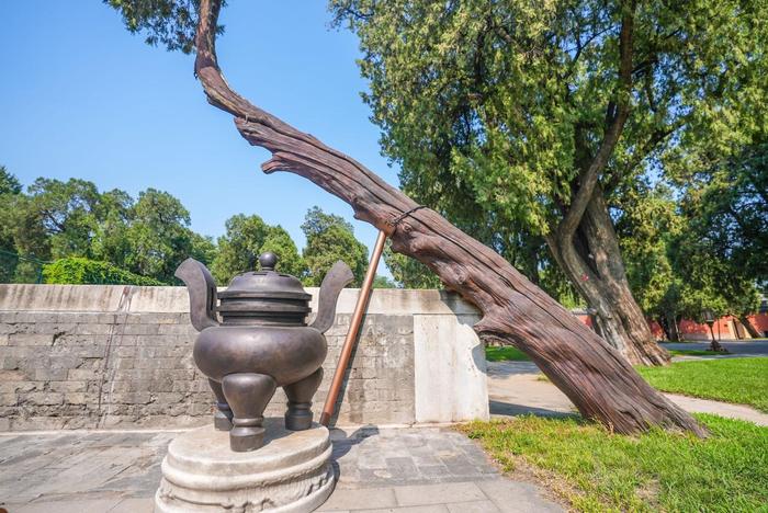 古建馆修缮半年后重张，宰牲亭院落首次揭开神秘面纱