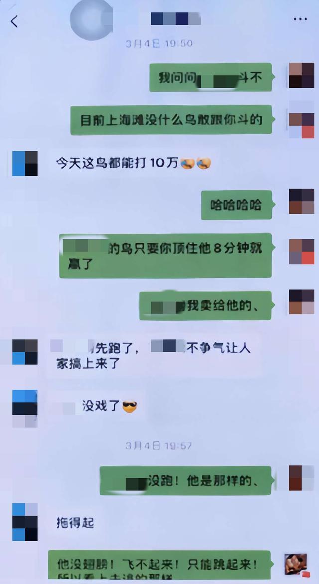 开茶馆“斗鸟”触犯刑法 一男子被提起公诉