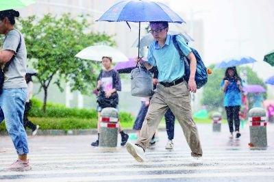 昨天的这场雨有多大?多区雨量破百 最大262.9毫米