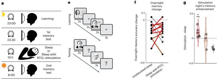 《自然·神经科学》：首个人体研究证实，睡眠期间同步刺激特定大脑区域，可以提高记忆力！