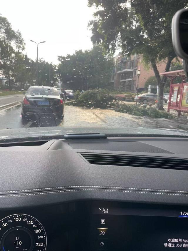 眉山7级大风致300余株绿化树木受损 仍需防范阵性大风和强降雨