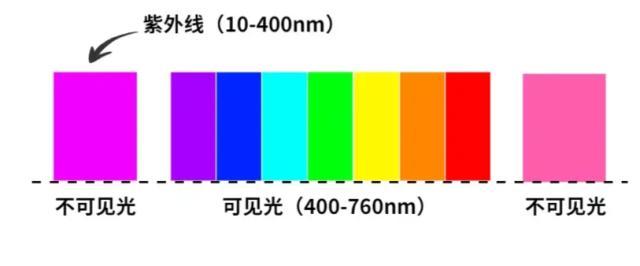 烈日炎炎 全副武装的“防晒”别忘了这个部位