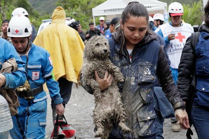 哥伦比亚持续降雨引发洪水 死亡人数升至10人