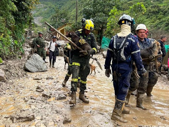 哥伦比亚持续降雨引发洪水 死亡人数升至10人