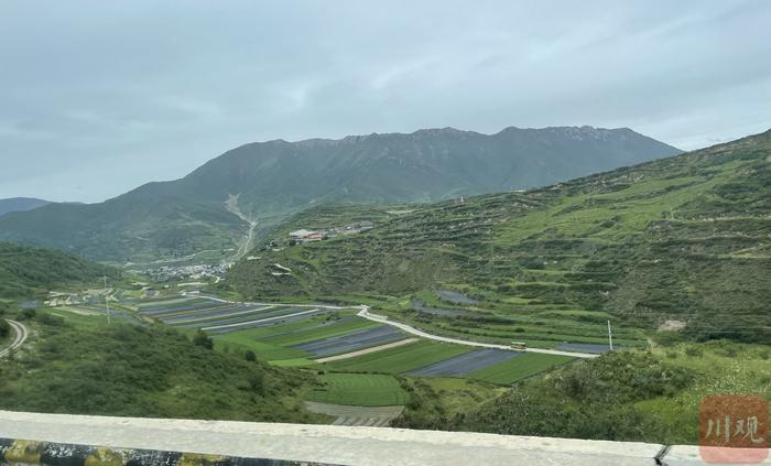 阿坝70年·中省主流媒体阿坝行㉕丨无土栽培，外地果蔬安家松潘