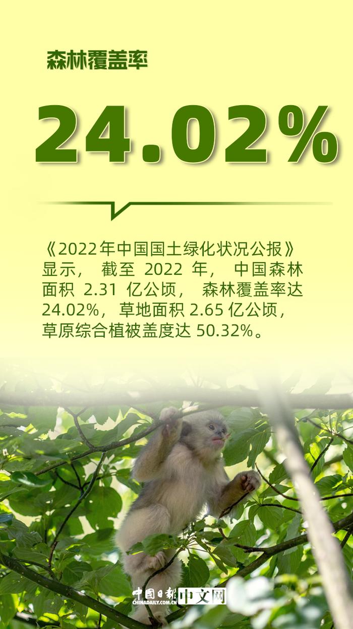 天蓝地绿水清，保护环境中国有“数”