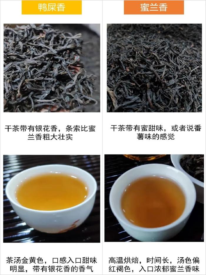 “爱茶如命”的潮汕人都喝什么茶？