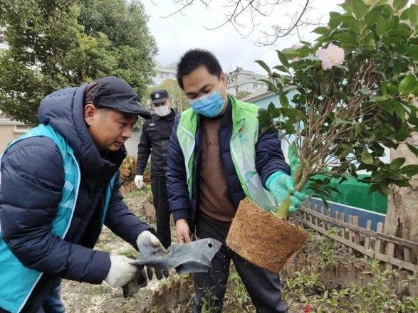 社区报道党员成了“绿化美容师”，党建引领凝聚自治共治力量