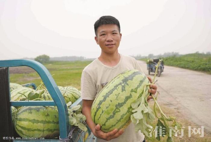 武庙：西瓜涨人气农民添收入